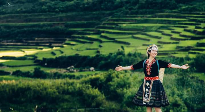 Thư tình gửi Cát Cát