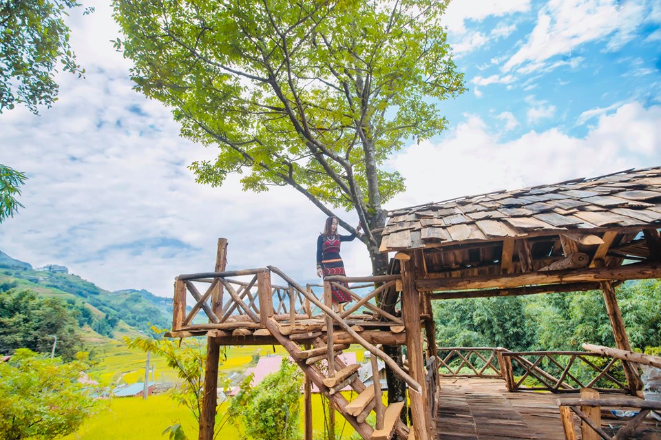ĐẾN CÁT CÁT “THỬ” THÔI LÀ CHƯA ĐỦ, PHẢI “TRẢI NGHIỆM” MỚI ĐÁNG