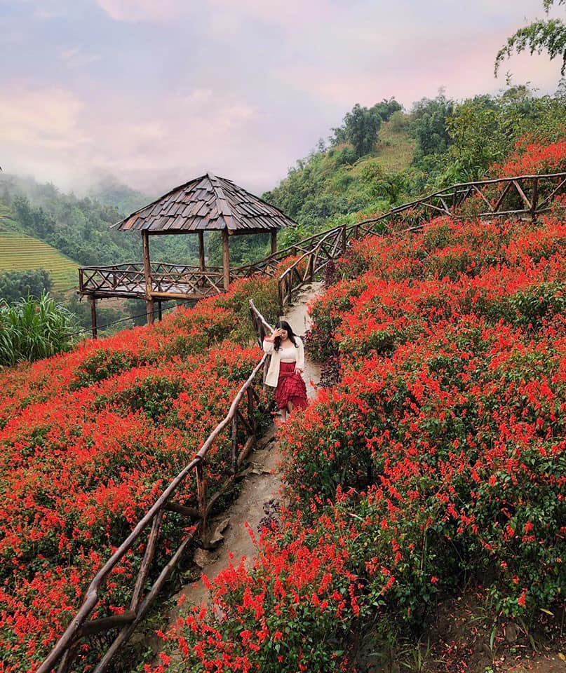 NẾU CHƯA ĐẾN CÁT CÁT