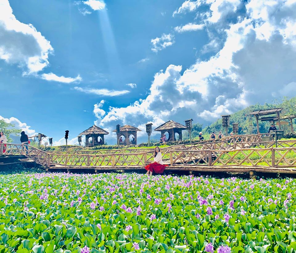 CÁT CÁT - NÉT DUYÊN THẦM, CÀNG NGẮM CÀNG YÊU...