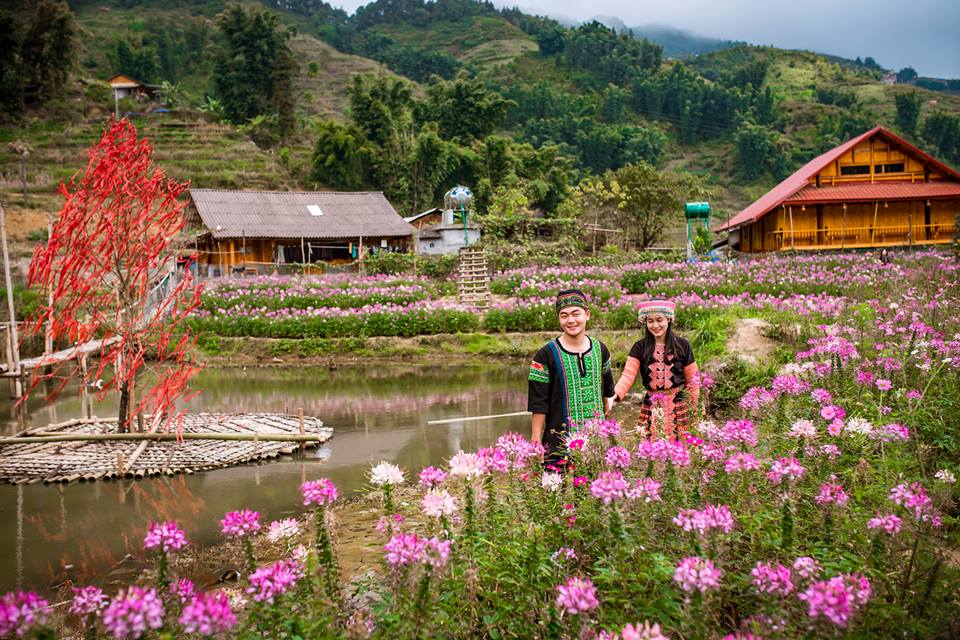 Bản cát cát - tây bắc không chỉ có SaPa